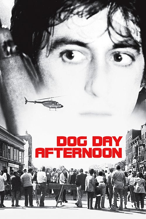 ดูหนังออนไลน์ Dog Day Afternoon (1975) ด็อก เดย์ อาฟเตอร์นูน