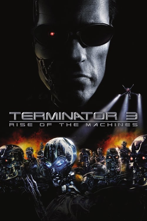 ดูหนังออนไลน์ Terminator 3 Rise of the Machines (2003)