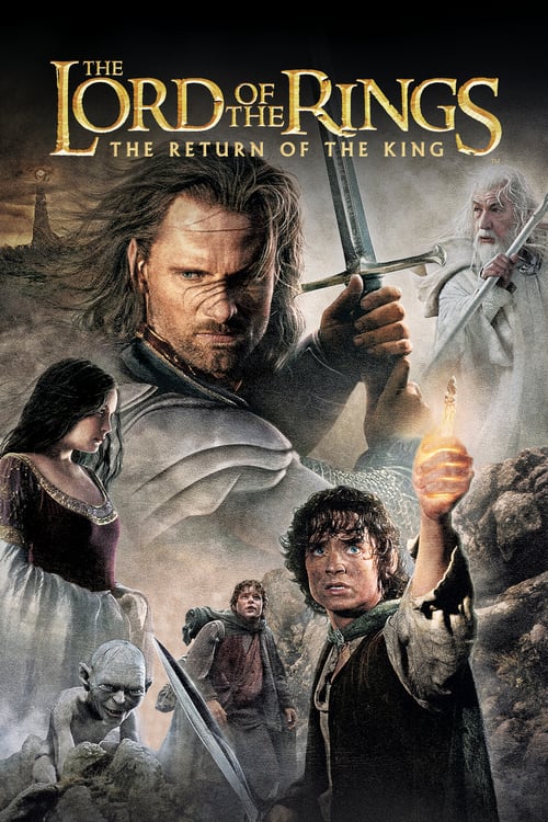 ดูหนังออนไลน์ฟรี The Lord of The Rings 3 (2003) เดอะลอร์ดออฟเดอะริงส์ มหาสงครามชิงพิภพ