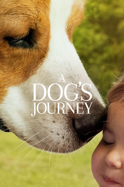 ดูหนังออนไลน์ A Dogs Journey (2019) หมา เป้าหมาย และเด็กชายของผม 2