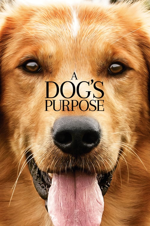 ดูหนังออนไลน์ฟรี A Dogs Purpose (2017) หมา เป้าหมาย และเด็กชายของผม