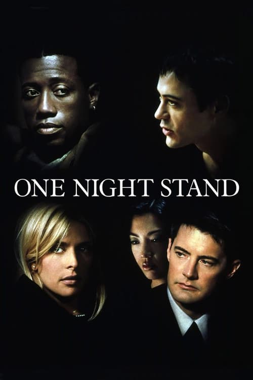 ดูหนังออนไลน์ฟรี One Night Stand (1997) ขอแค่คืนนี้คืนเดียว