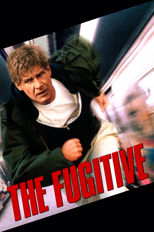 ดูหนังออนไลน์ The Fugitive (1993) ขึ้นทำเนียบจับตาย