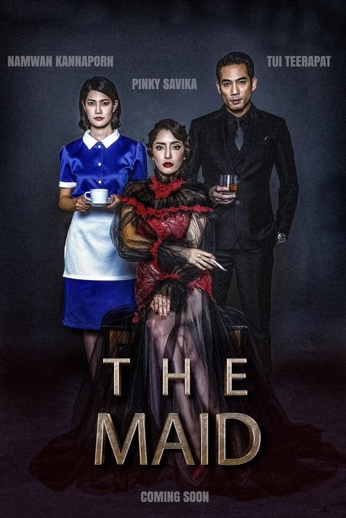 ดูหนังออนไลน์ [Netflix] The Maid (2020) สาวลับใช้