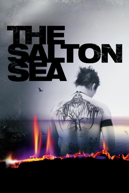 ดูหนังออนไลน์ The Salton Sea (2002) ฝังแค้น ล่าล้างเดือด