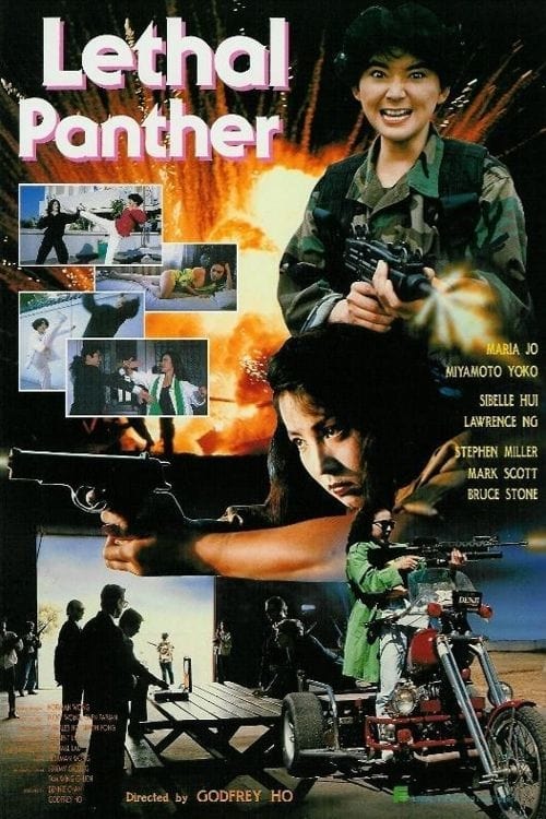 ดูหนังออนไลน์ 18+ Lethal Panther (1990) โหดล้างเมือง