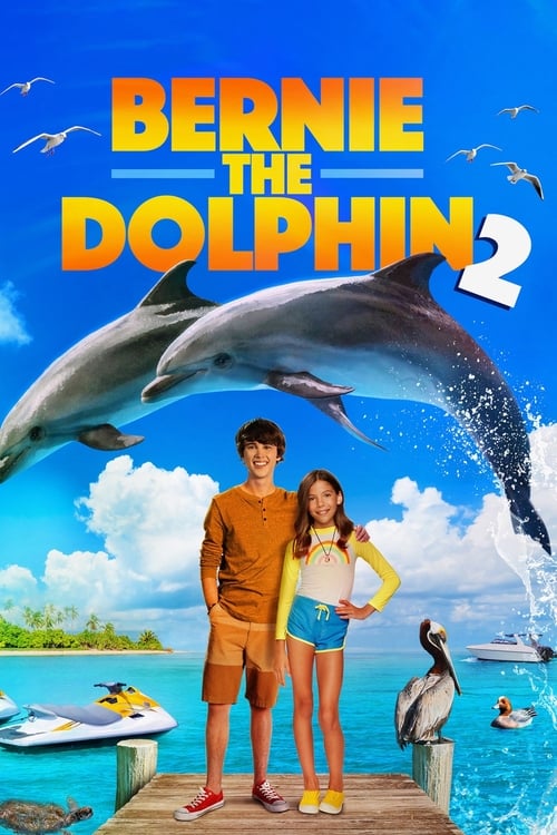 ดูหนังออนไลน์ฟรี Bernie the Dolphin 2 (2019) เบอร์นี่ โลมาน้อย หัวใจมหาสมุทร 2