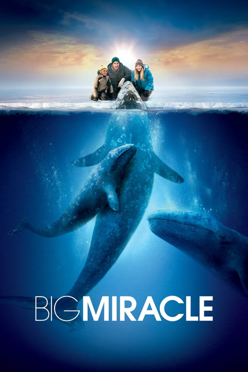 ดูหนังออนไลน์ฟรี Big Miracle (2012) ปาฏิหาริย์วาฬสีเทา