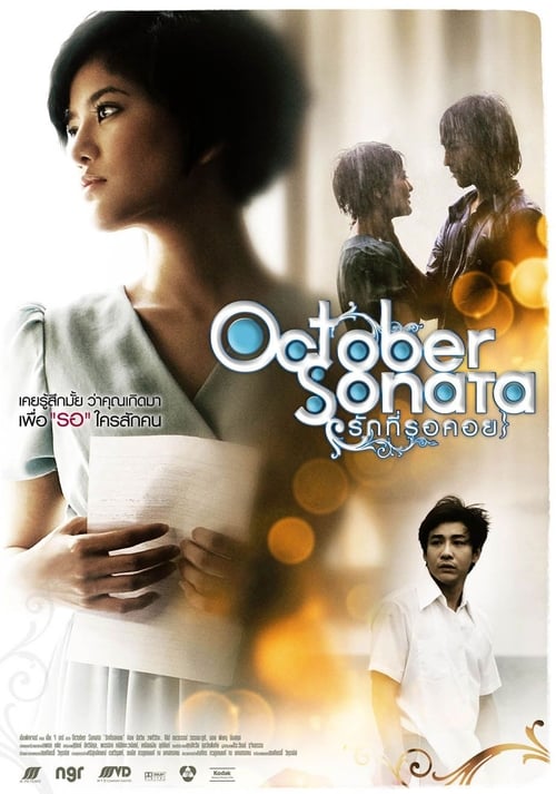 ดูหนังออนไลน์ October Sonata (2009) รักที่รอคอย