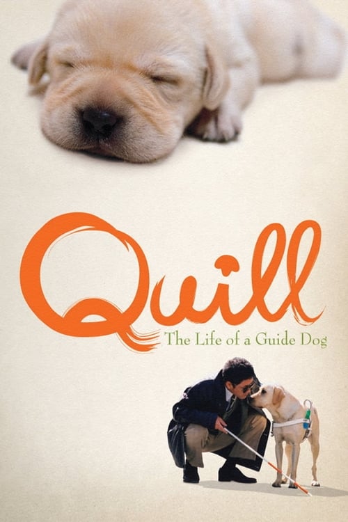 ดูหนังออนไลน์ฟรี Quill – The Life of a Guide Dog (2004) โฮ่ง (ฮับ) เจ้าตัวเนี้ยซี้ 100%