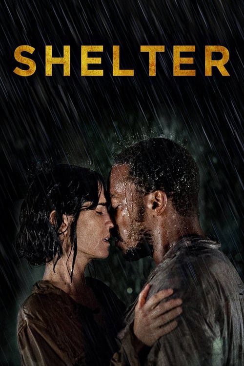 ดูหนังออนไลน์ Shelter (2014) คืนเหงา เราสอง