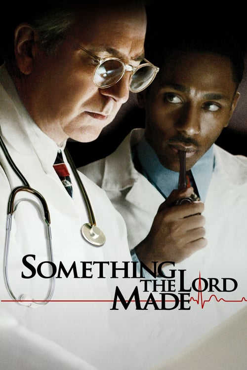 ดูหนังออนไลน์ฟรี Something the Lord Made (2004)