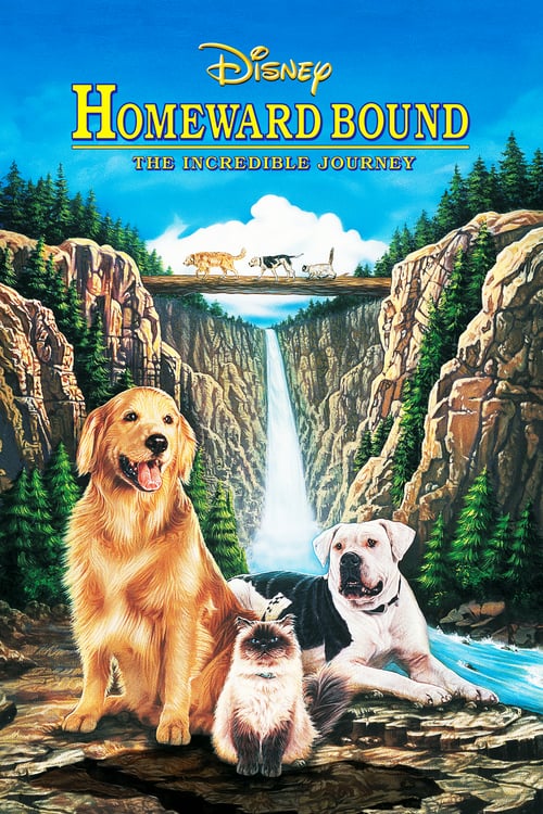 ดูหนังออนไลน์ Homeward Bound: The Incredible Journey (1993) 2 หมา 1 แมว ใครจะพรากเราไม่ได้