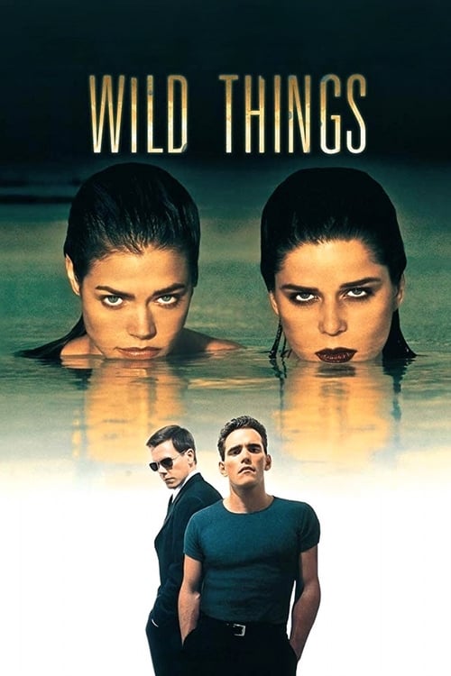 ดูหนังออนไลน์ฟรี Wild Things 1 (1998) เกมซ่อนกล ภาค 1