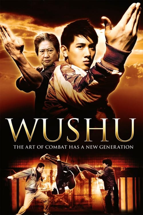 ดูหนังออนไลน์ฟรี Wushu (2008) เบ่งเต็มฟัด ไอ้หนุ่มวิ่งสู้ฟัด