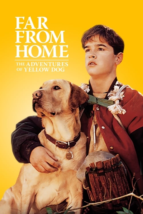 ดูหนังออนไลน์ฟรี Far from Home: The Adventures of Yellow Dog (1995) เพื่อนรักแสนรู้