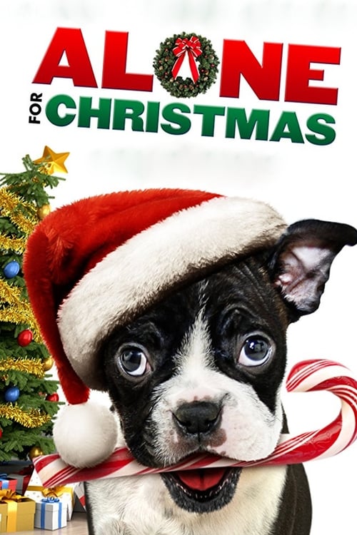 ดูหนังออนไลน์ Alone For Christmas (2013) แก๊งน้องหมาโดดเดี่ยวผู้น่ารัก