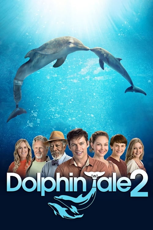 ดูหนังออนไลน์ Dolphin Tale 2 (2014) มหัศจรรย์โลมาหัวใจนักสู้ 2