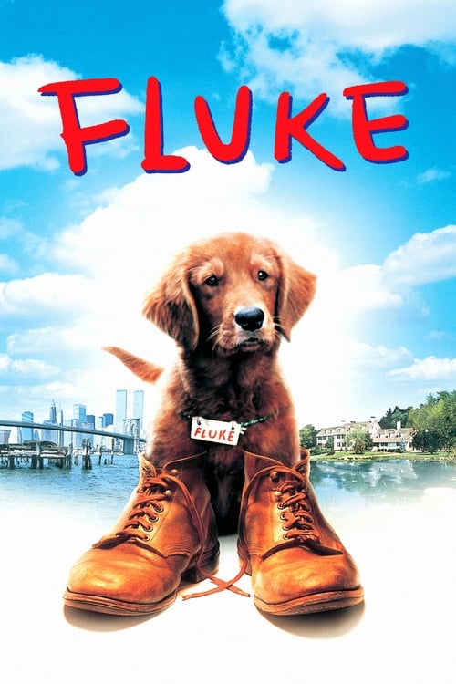 ดูหนังออนไลน์ FLUKE (1995)