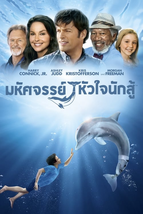 ดูหนังออนไลน์ [NETFLIX] Dolphin Tale (2011) มหัศจรรย์โลมาหัวใจนักสู้
