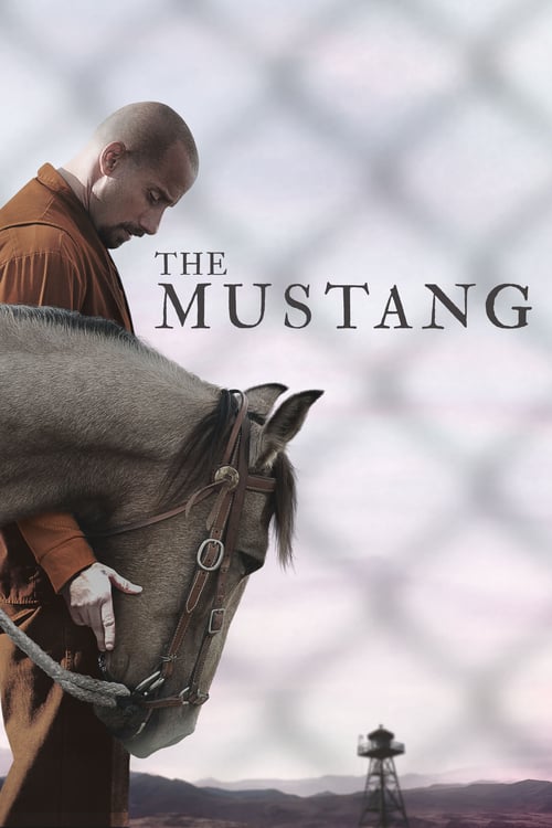 ดูหนังออนไลน์ [NETFLIX] The Mustang (2019) ม้าป่าแสนพยศ