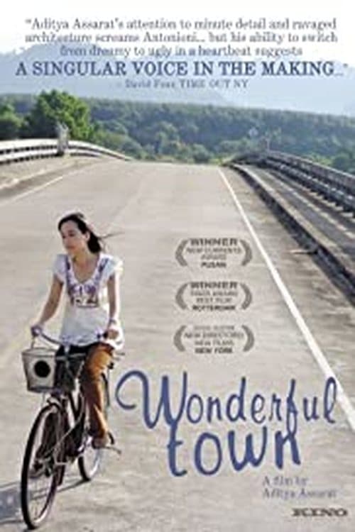 ดูหนังออนไลน์ Wonderful Town (2007) เมืองเหงาซ่อนรัก