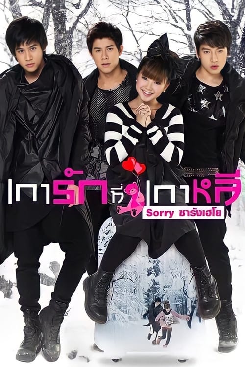 ดูหนังออนไลน์ฟรี Sorry Saranghaeyo (2010) เการัก ที่เกาหลี Sorry ซารังเฮโย