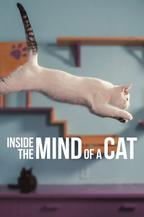 ดูหนังออนไลน์ Inside the Mind of a Cat (2022)