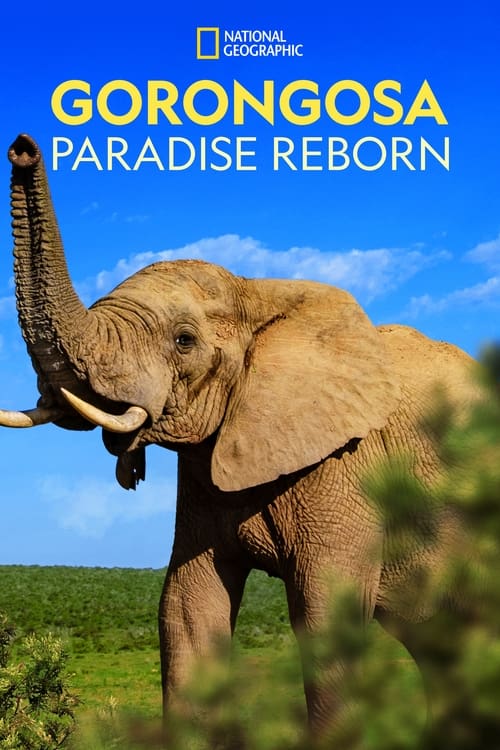 ดูหนังออนไลน์ Gorongosa Paradise Reborn (2022)
