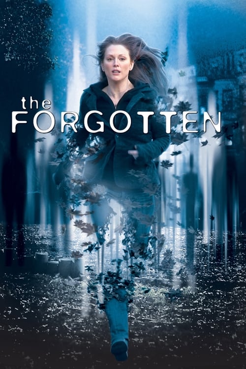 ดูหนังออนไลน์ฟรี The Forgotten (2004) ความทรงจำที่สาบสูญ