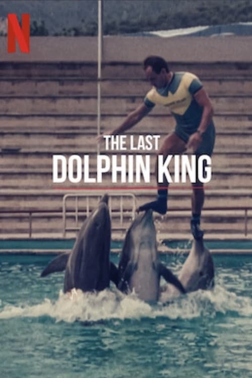 ดูหนังออนไลน์ฟรี The Last Dolphin King (2022) ราชาโลมาคนสุดท้าย