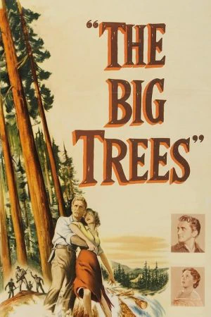 ดูหนังออนไลน์ฟรี The Big Trees (1952) สุภาพบุรุษในป่าใหญ่