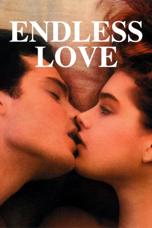 ดูหนังออนไลน์ฟรี Endless Love (1981) วุ่นรักไม่รู้จบ