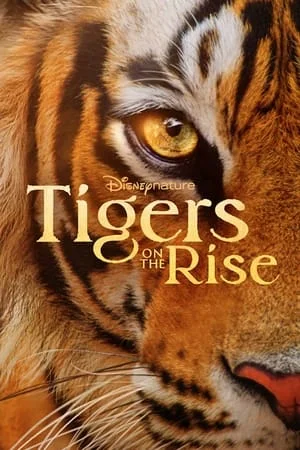 ดูหนังออนไลน์ฟรี Tigers on the Rise (2024)