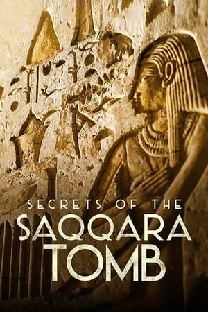 ดูหนังออนไลน์ฟรี Secrets of the Saqqara Tomb (2020) ไขความลับสุสานซัคคารา