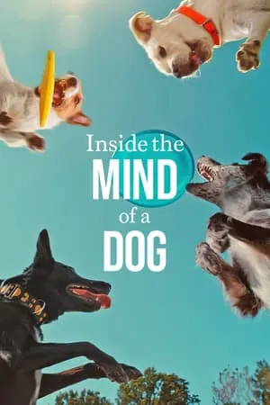 ดูหนังออนไลน์ Inside the Mind of a Dog (2024) อ่านใจสุนัข