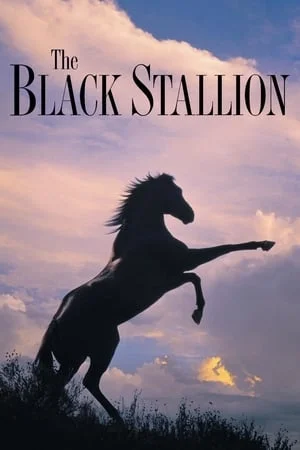 ดูหนังออนไลน์ฟรี The Black Stallion (1979) อาชาเพื่อนยาก